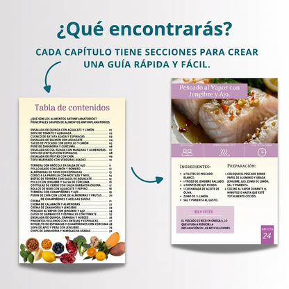 Recetas Antiinflamatorias — eBook